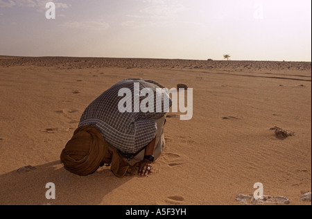 Musulman priant dans désert, camp sahraoui, Tindouf, dans l'ouest de l'Algérie Banque D'Images