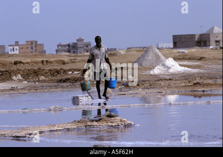 Paludier travaillant dans l'exploitation du sel à Nouakchott, Mauritanie, Afrique Banque D'Images