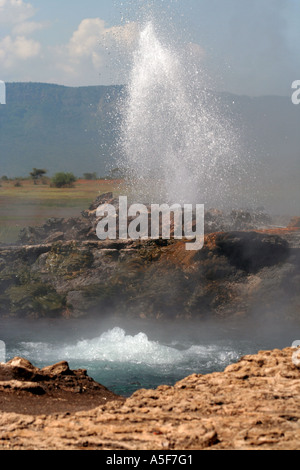 KENYA : un geyser d'eau chaude naturelles au lac Baringo au Kenya, safari, Hot spring Banque D'Images