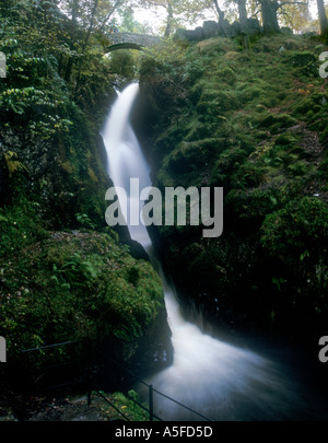 Chute d'Aira Force Gowbarrow Fell Park près de Ulswater Parc National de Lake District Cumbria England Banque D'Images