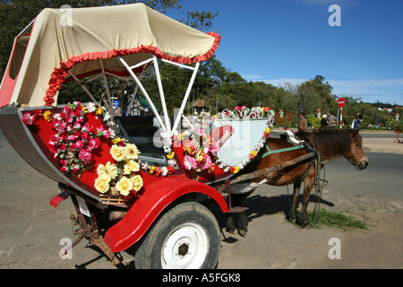 Transport de chevaux et de fleurs, Dalat Flower Garden Banque D'Images
