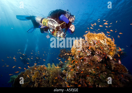 Un plongeur de soutien en préparation pour le record du monde de plongée profonde épave Yolanda Reef Sharm Egypte 1105 Banque D'Images