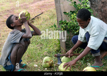 Manakara, Madagascar, les garçons coupés et verre de coco Banque D'Images