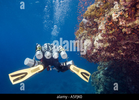 Leigh Cunningham en préparation pour le record du monde de plongée profonde épave Yolanda Reef Sharm Egypte 1105 Banque D'Images