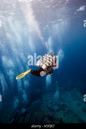 Leigh Cunningham en préparation pour le record du monde de plongée profonde épave Yolanda Reef Sharm Egypte 1105 Banque D'Images