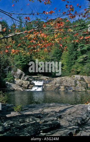 Cascade dans l'arrière-plan et de l'évolution des feuilles dans l'avant-plan au début de l'automne dans les montagnes Blue Ridge. Banque D'Images