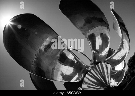 Floralis Generica noir et blanc fleur gigantesque Eduardo Catalano Plaza Naciones Unidas Buenoa Aires Argentine Amérique du Sud Banque D'Images