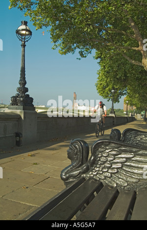 Tamise à Chelsea Embankment Londres Angleterre Royaume-uni Banque D'Images