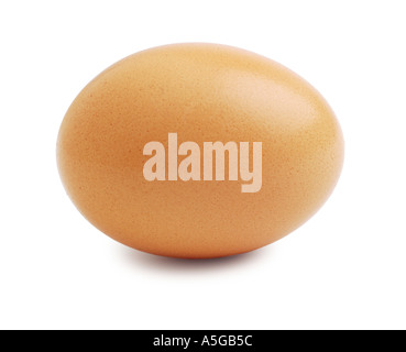 oeufs bruns Banque D'Images