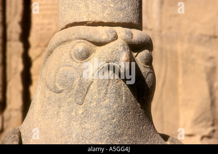 Statue du dieu faucon Horus dans le Temple d'Edfou sur les berges du Nil Egypte Afrique du Nord Banque D'Images