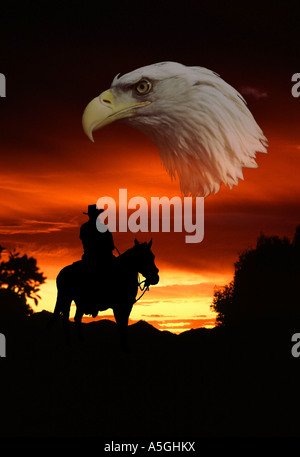 American Bald Eagle (Haliaeetus leucocephalus), lonesome cowboy Banque D'Images