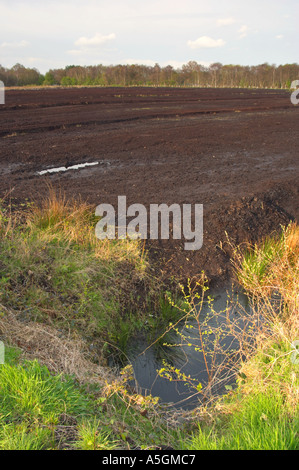 Vues de Lindow Moss où Pete Marsh le Lindow Man a été découvert Banque D'Images