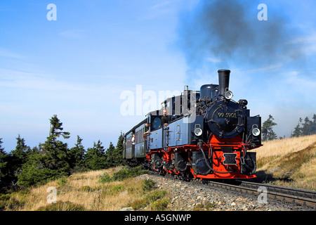 Chemin de fer étroit-gage sur la façon de le Brocken, Allemagne, Saxe-Anhalt, Schleswig-Holstein Banque D'Images