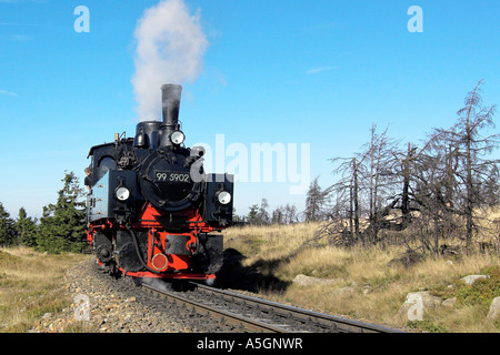 Chemin de fer étroit-gage sur la façon de le Brocken, Allemagne, Saxe-Anhalt, Schleswig-Holstein Banque D'Images