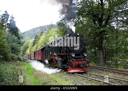 Chemin de fer étroit-gage sur la façon de le Brocken, Allemagne, Saxe-Anhalt, Schleswig-Holstein Banque D'Images