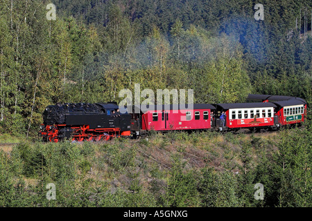 Chemin de fer étroit-gage sur la façon de le Brocken, Allemagne, Saxe-Anhalt, Schleswig-Holstein Banque D'Images