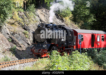 Chemin de fer étroit-gage sur la façon de le Brocken, Allemagne, Saxe-Anhalt, Schleswig-Holstein Banque D'Images