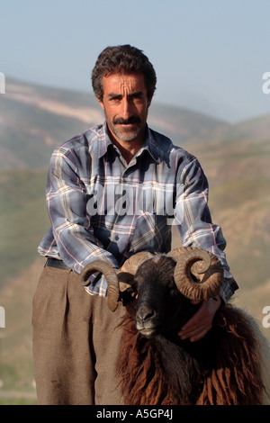 Le mouton domestique (Ovis ammon f. bélier), avec des moutons berger kurde, la Turquie, Van Buck Banque D'Images