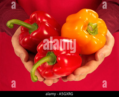 MAN HOLDING POIVRONS MIXTES Banque D'Images