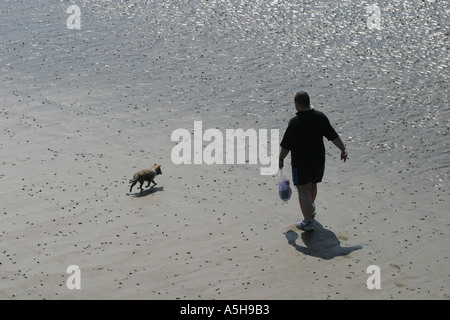 L'homme promenait son chien sur la plage Vue d'en haut Banque D'Images