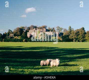 Château de Berkeley, dans le comté de Gloucestershire, Angleterre. Construit pour défendre l'estuaire de la Severn et la frontière galloise. Date de 1117 Banque D'Images