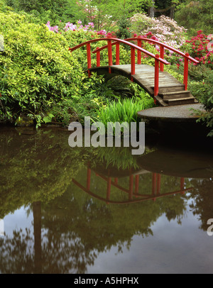 Kubota Seattle, au jardin au printemps avec le Pont de la Lune. Banque D'Images