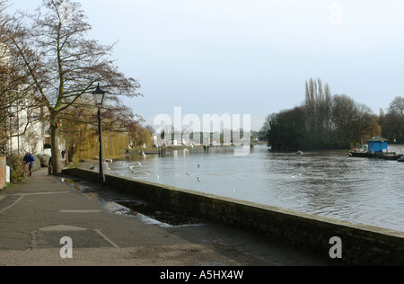 Chiswick West London England GB UK 2007 Banque D'Images