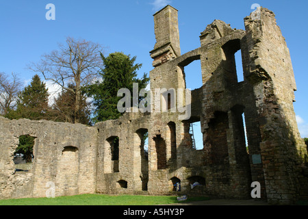 Magor près de Newport South Wales GB UK 2007 Banque D'Images