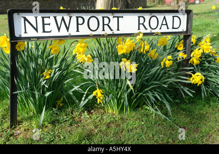 Magor près de Newport South Wales GB UK 2007 Banque D'Images