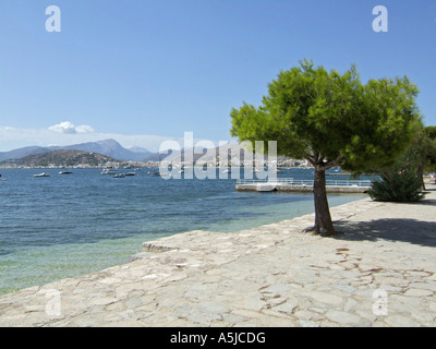 La baie de Puerto Pollensa, Mallorca, Espagne. Banque D'Images