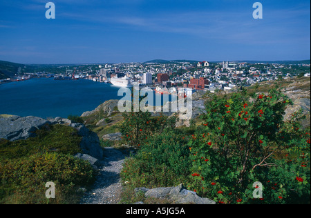 St Johns Harbour Terre-Neuve Canada de Signal Hill Banque D'Images