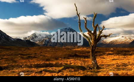 À la recherche de l'Buachaille Etive Mor (Grande Shephard de Etive) et de Glencoe de l'arbre mort sur Rannoch Moor dans les Scottish hig Banque D'Images