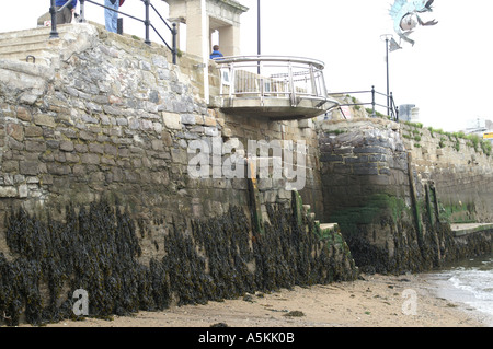 Mayflower steps Pilgrim Fathers point de départ pour le nouveau monde en 1620 Banque D'Images