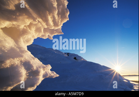 Sapin couvert de neige sur le mont Grand Arber ., Bavaria, Germany, Europe Banque D'Images