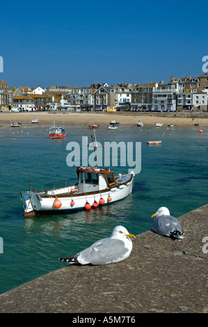 Harbourside à st.ives à Cornwall, uk Banque D'Images