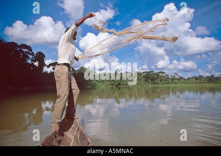 Exprimés en partie à distance de la forêt amazonienne Purus River Acre au Brésil Banque D'Images