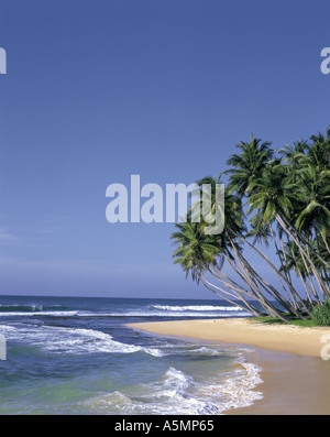 Plage d'Hikkaduwa au Sri Lanka Banque D'Images