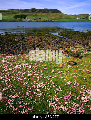 GB - ECOSSE : Loch Beag sur l'île de Skye Banque D'Images