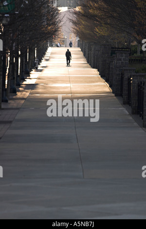 Trajet de marche Banque D'Images