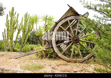 Panier abandonnés une vieille charrette à deux roues altérés ou wagon présentée dans un jardin de cactus Agregino Sicile Italie Banque D'Images