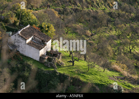 Olive Grove Cottage Banque D'Images