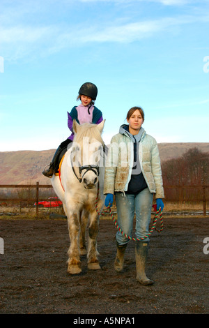 Fille plus jeune fille de premier plan sur les petits poney gris Banque D'Images