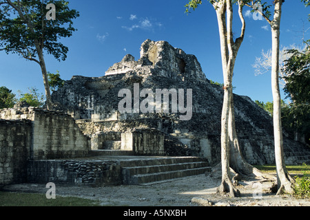 Edificio X, ruines mayas, Rio Bec Sites, dans l'État de Campeche, Becan, Yucatan, Mexique penninsula Banque D'Images