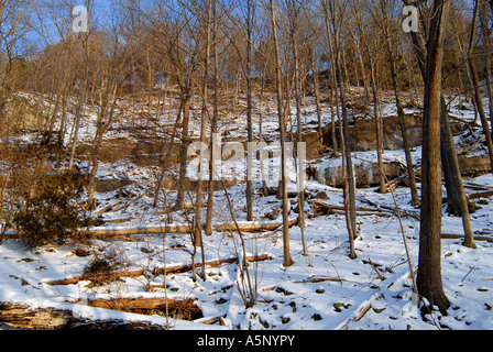 En hiver, de l'Escarpement du Niagara Banque D'Images