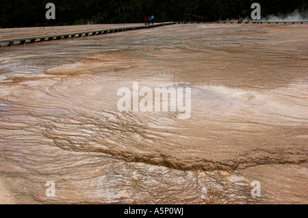 Run-off de Grand Prismatic Spring, Yellowstone Banque D'Images