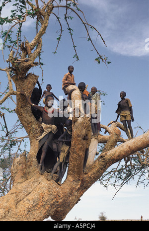 Enfants jouant dans une Rendille Korr arbre au nord du Kenya, Afrique de l'Est Banque D'Images