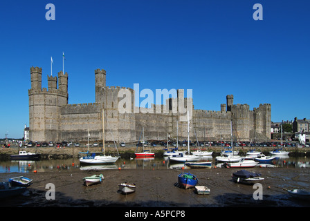 Château de Caernarfon forteresse historique médiévale en pierre bâtiment sur la rivière Seiont UNESCO tourisme attraction touristique Caernarfon Gwynedd Nord-pays de Galles Royaume-Uni Banque D'Images