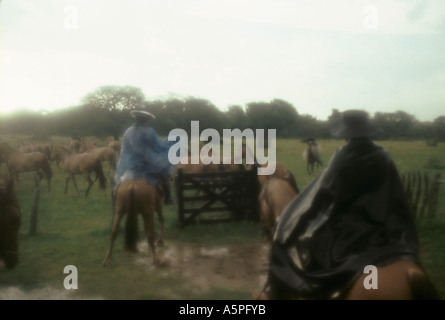 Élevage de chevaux Criollos GAUCHOS SOUS LA PLUIE LA ESTRELLA, ferme (RANCH) ARGENTINE Banque D'Images