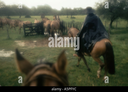 Élevage de chevaux Criollos GAUCHOS SOUS LA PLUIE À LA ESTRELLA (RANCH) Ferme, ARGENTINE Banque D'Images