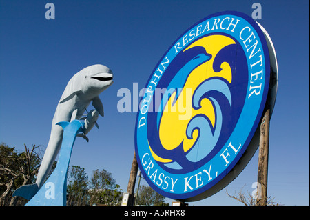 Dolphin Research Center en Floride Grassy Key Banque D'Images